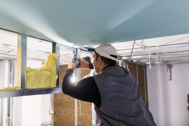 Best Insulation Installation Services in Nederland, CO